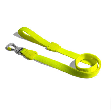 Petsleisure Pet Leashes